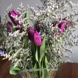 Meet your Posher, Tara